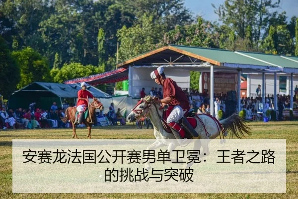 安赛龙法国公开赛男单卫冕：王者之路的挑战与突破